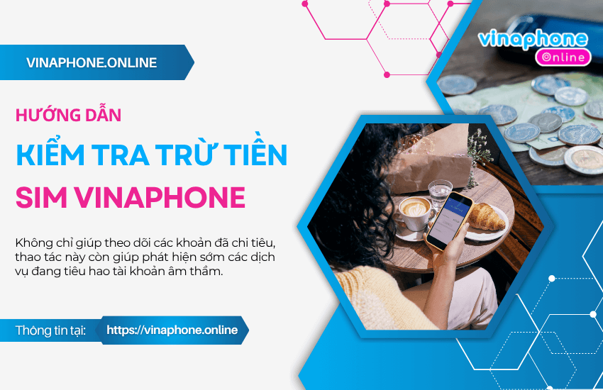 kiem tra lich su tru tien vinaphone