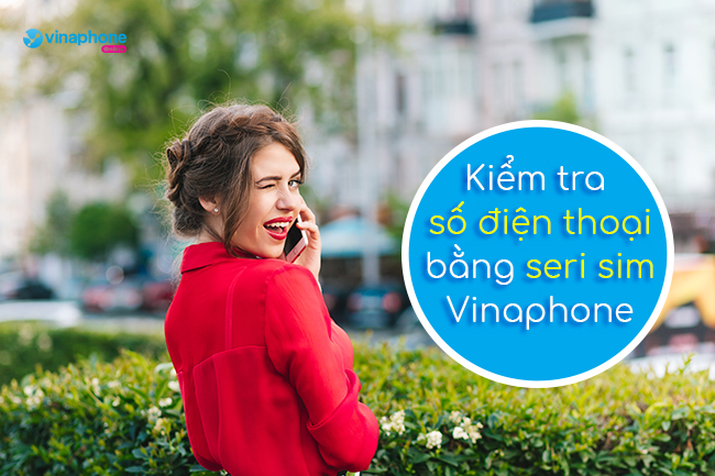 kiem tra so dien thoai bang seri sim vinaphone