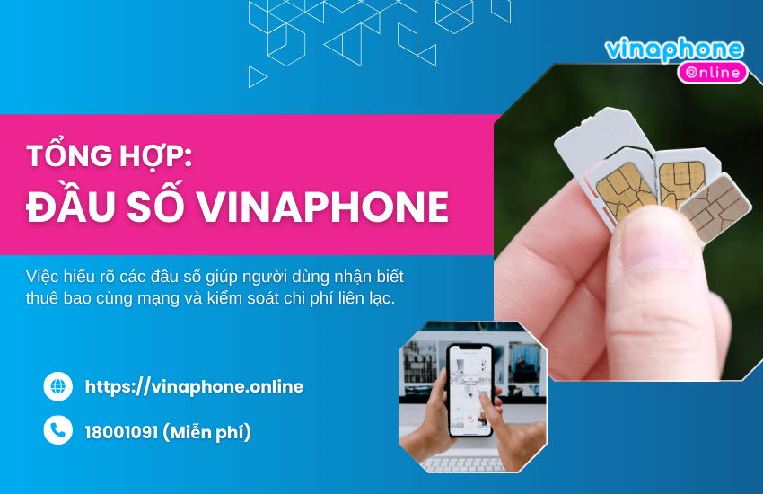 dau so vinaphone