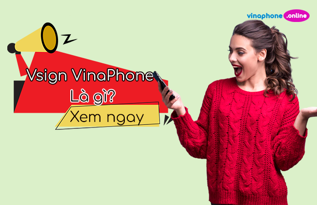 Vsign VinaPhone la dich vu gi