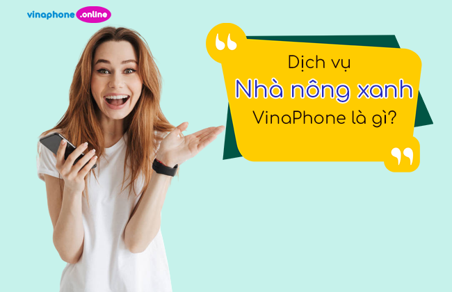 dich vu nha nong xanh vinaphone