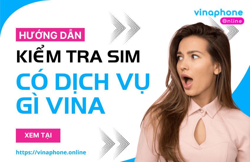 kiem tra dich vu vinaphone dang dung