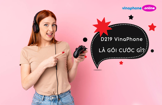 goi cuoc d29 cua vinaphone la gi