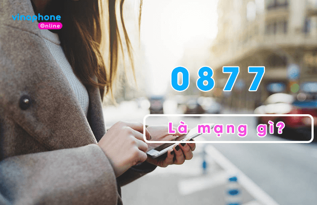 dau so 0877 la mang gi