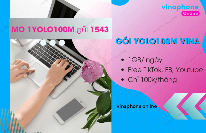 goi yolo10m vinaphone