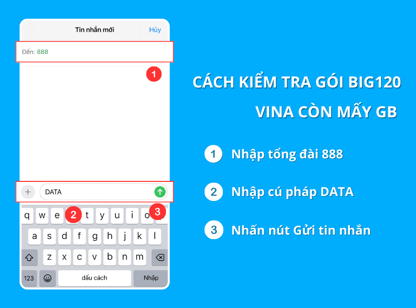 Cu phap kiem tra goi BIG120 Vina con may GB